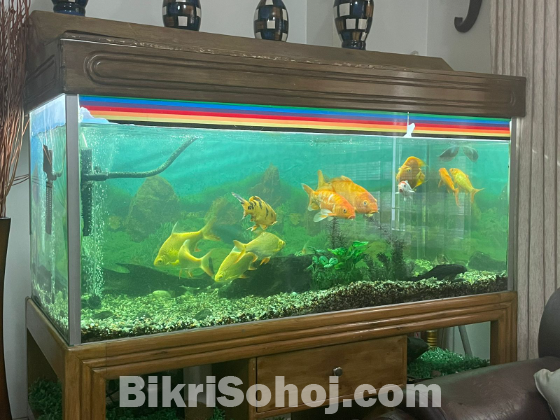 Aquarium for sale